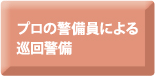 プロの警備員による巡回警備